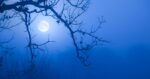 Gandmool Dosha (Nakshatra Influence), Meaning, Effects And Remedies