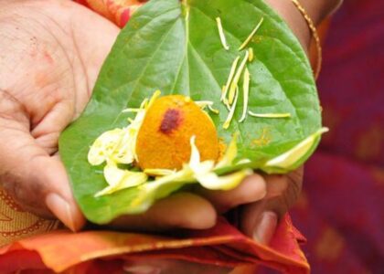 Pitru Dosha (Ancestral Curse) – Meaning, Effects, and Remedies
